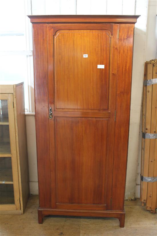 Narrow mahogany cupboard, enclosed by a twin panelled door